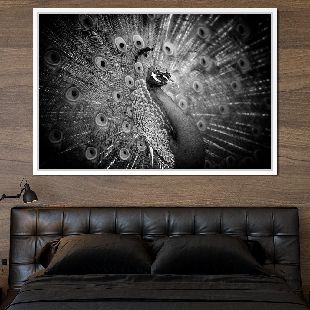 Black and White Peacock Canvas Wall Art
