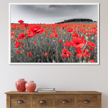 Flanders Fields Canvas Wall Art