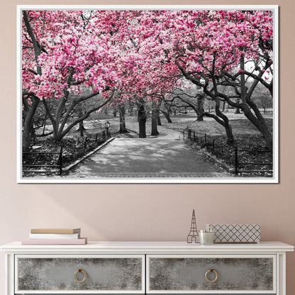 Pink Blossoms in Black and White Canvas Wall Art
