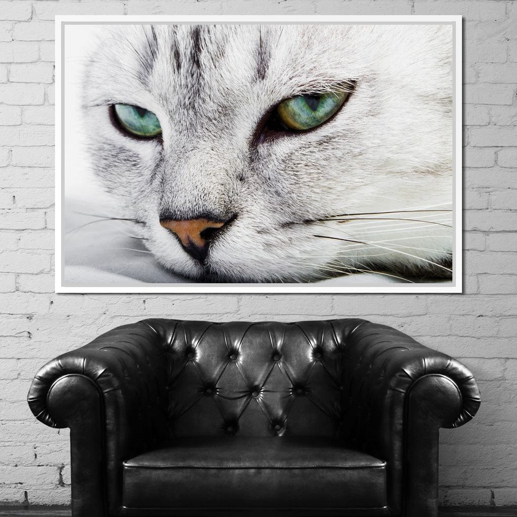Cat Relaxing Canvas Wall Art