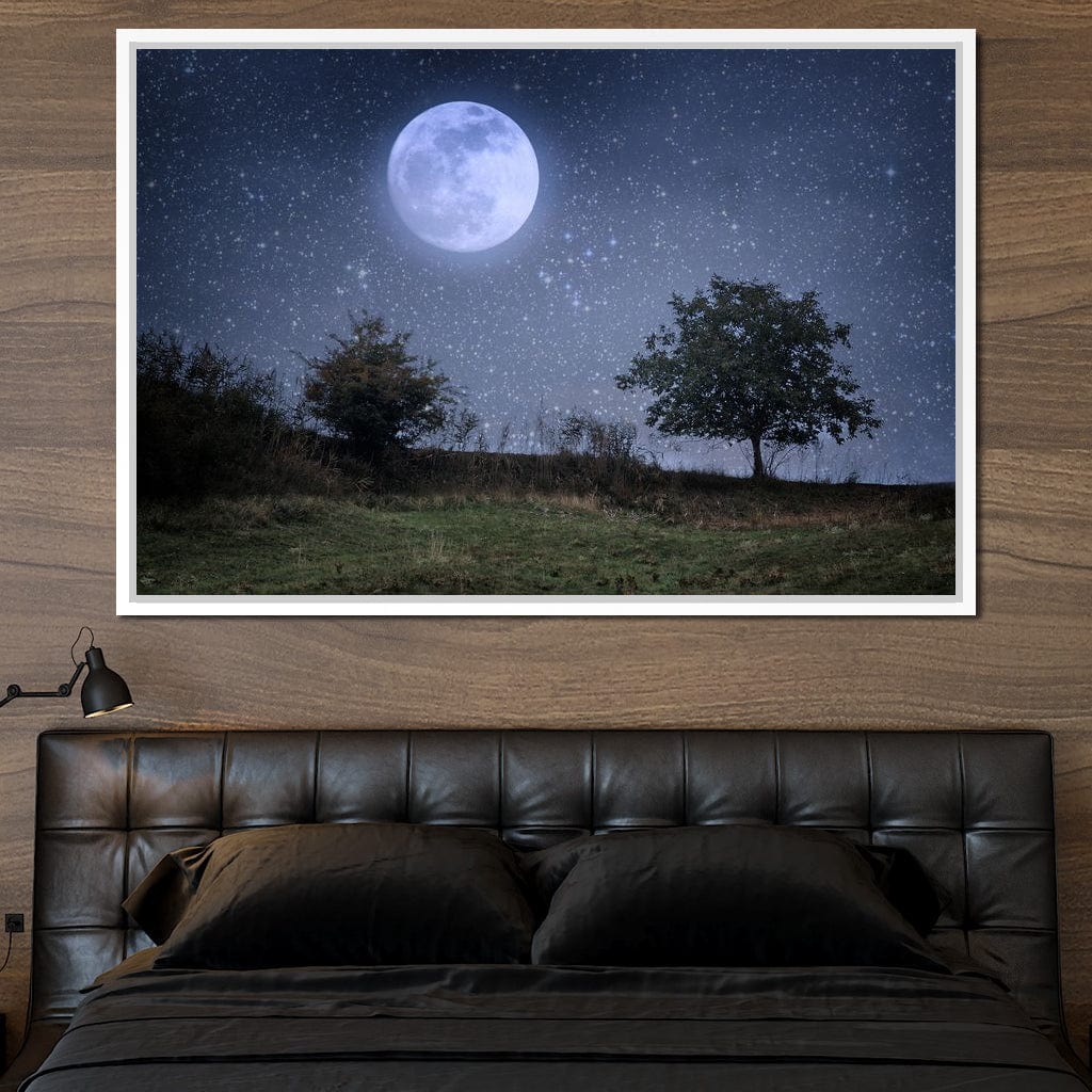 Beautiful Moonlight Canvas Wall Art