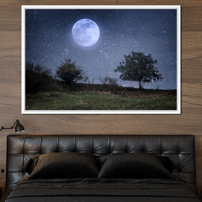 Beautiful Moonlight Canvas Wall Art