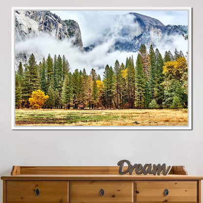 Yosemite National Park Canvas Wall Art