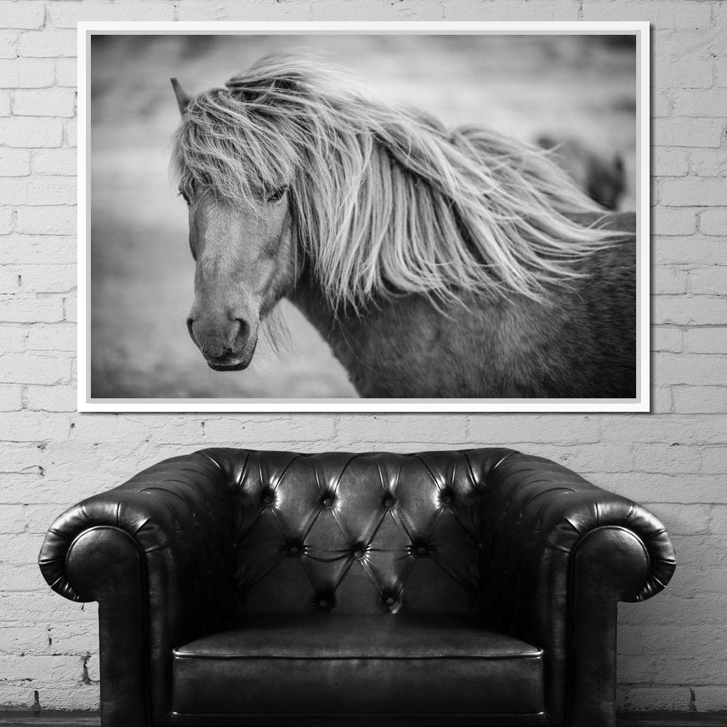 Icelandic Horse in Black & White Canvas Wall Art