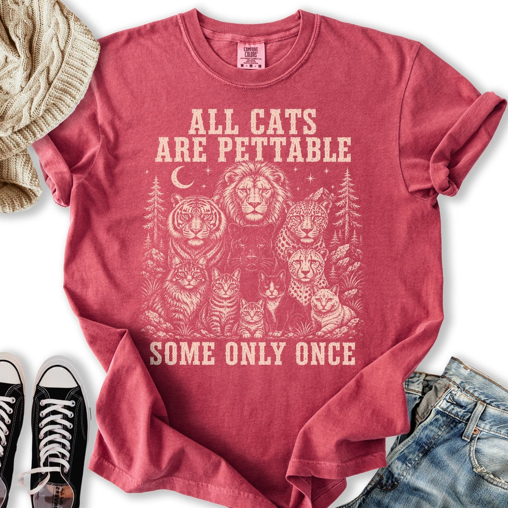 All Cats Are Pettable II Relaxed Tee