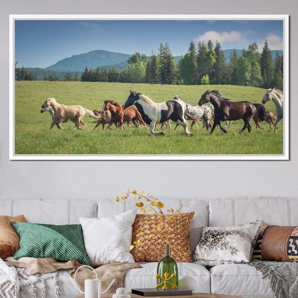 Horses of all Colors Running in a Pasture Canvas Wall Art