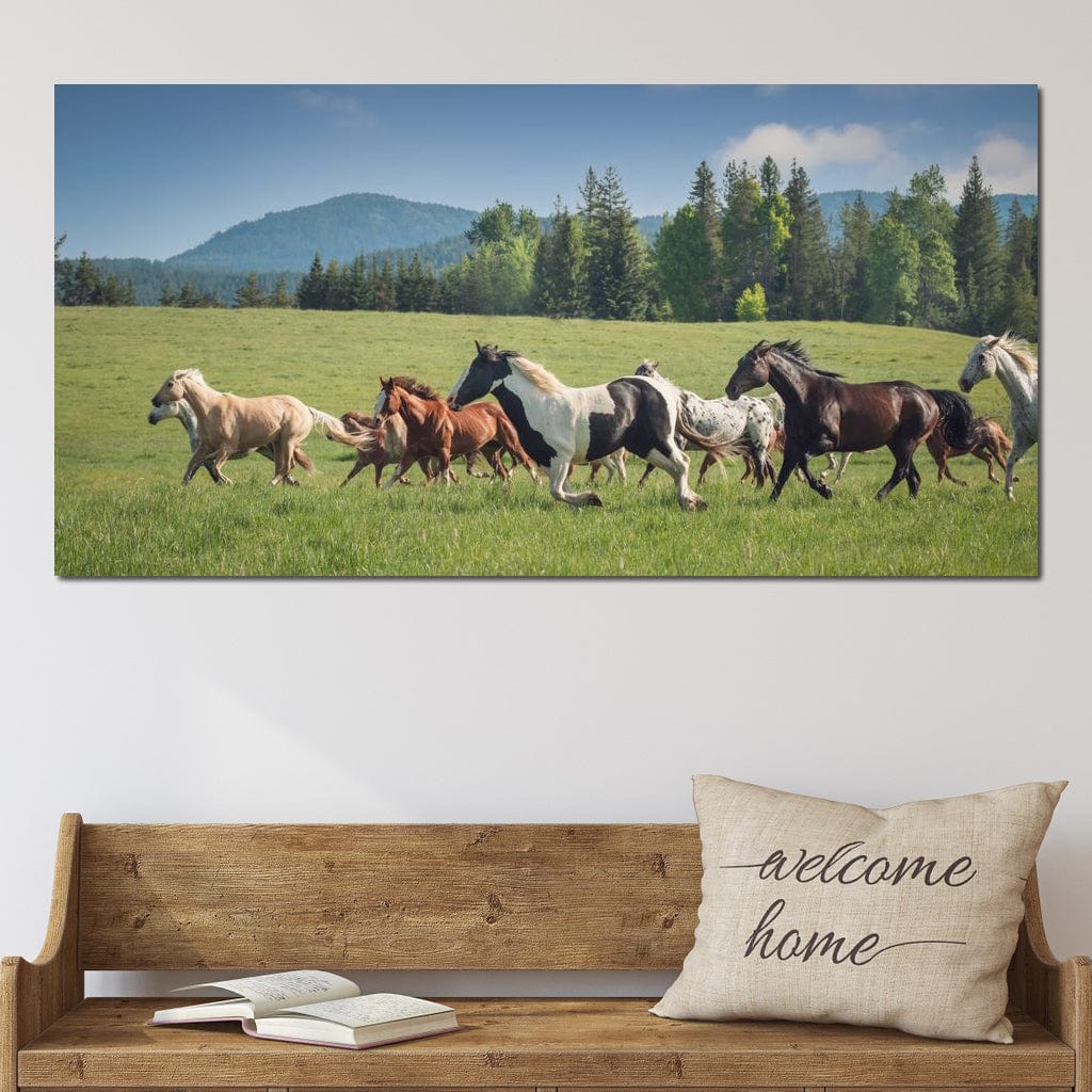 Horses of all Colors Running in a Pasture Canvas Wall Art