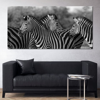 Zebra Herd in Black & White Canvas Wall Art
