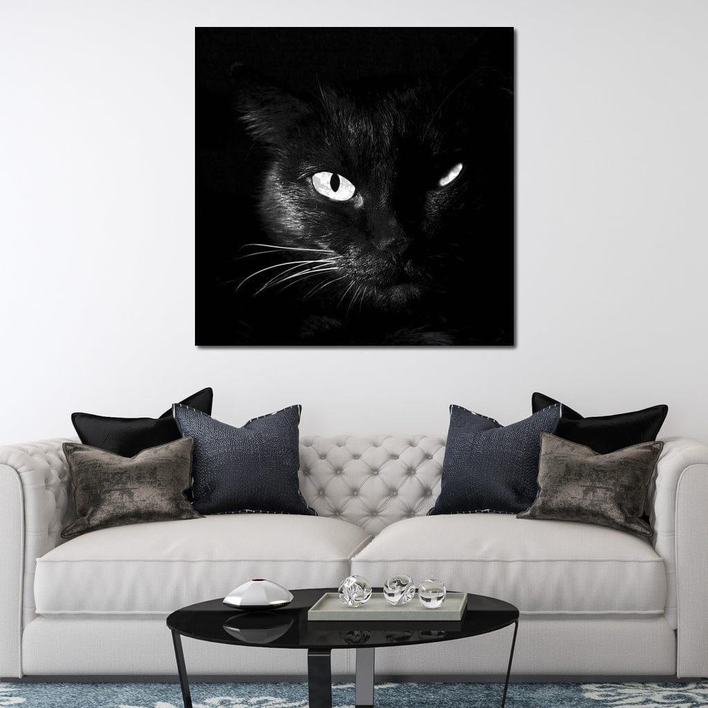 Black and White Cat Canvas Wall Art