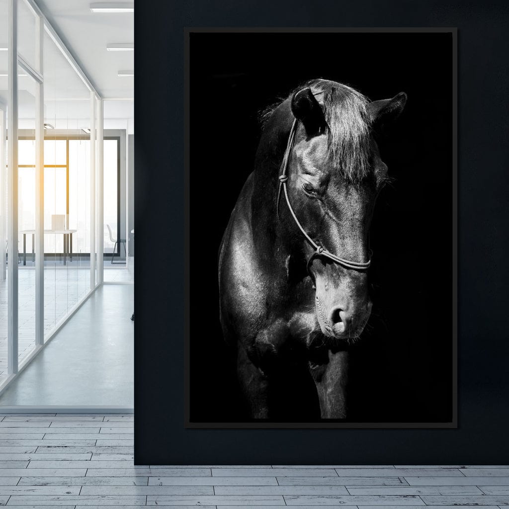 Black & White Horse Head Canvas Wall Art