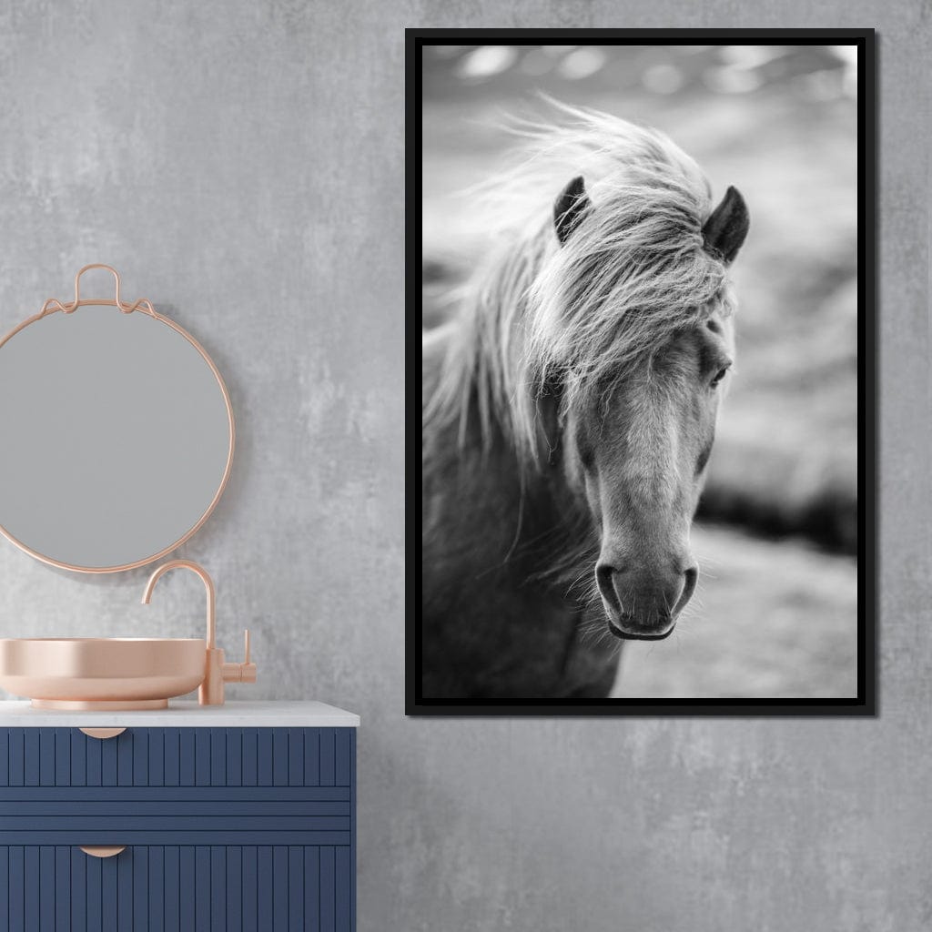 Icelandic Horse Canvas Wall Art