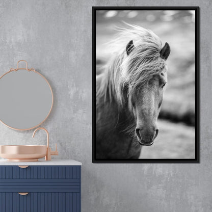 Icelandic Horse Canvas Wall Art