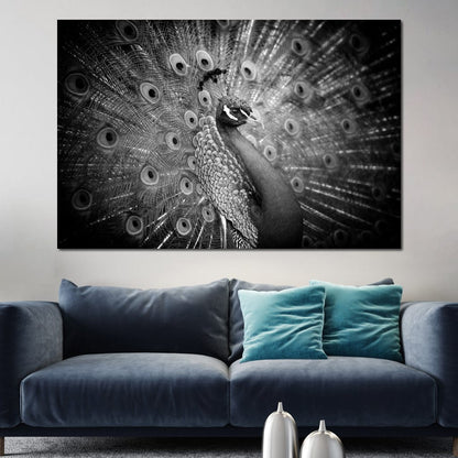 Black and White Peacock Canvas Wall Art