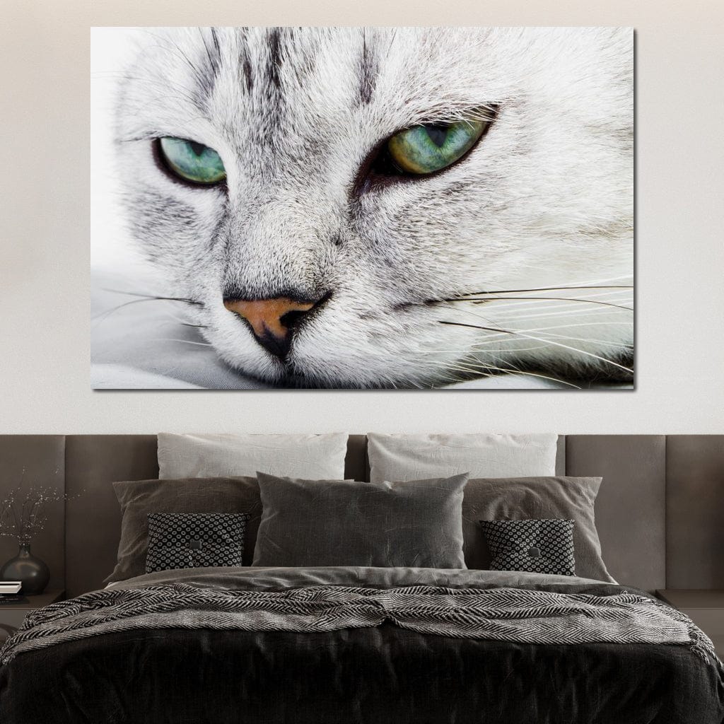 Cat Relaxing Canvas Wall Art