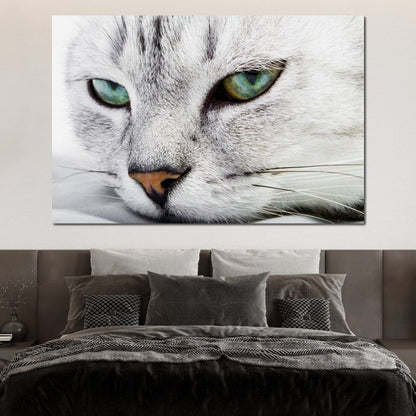 Cat Relaxing Canvas Wall Art
