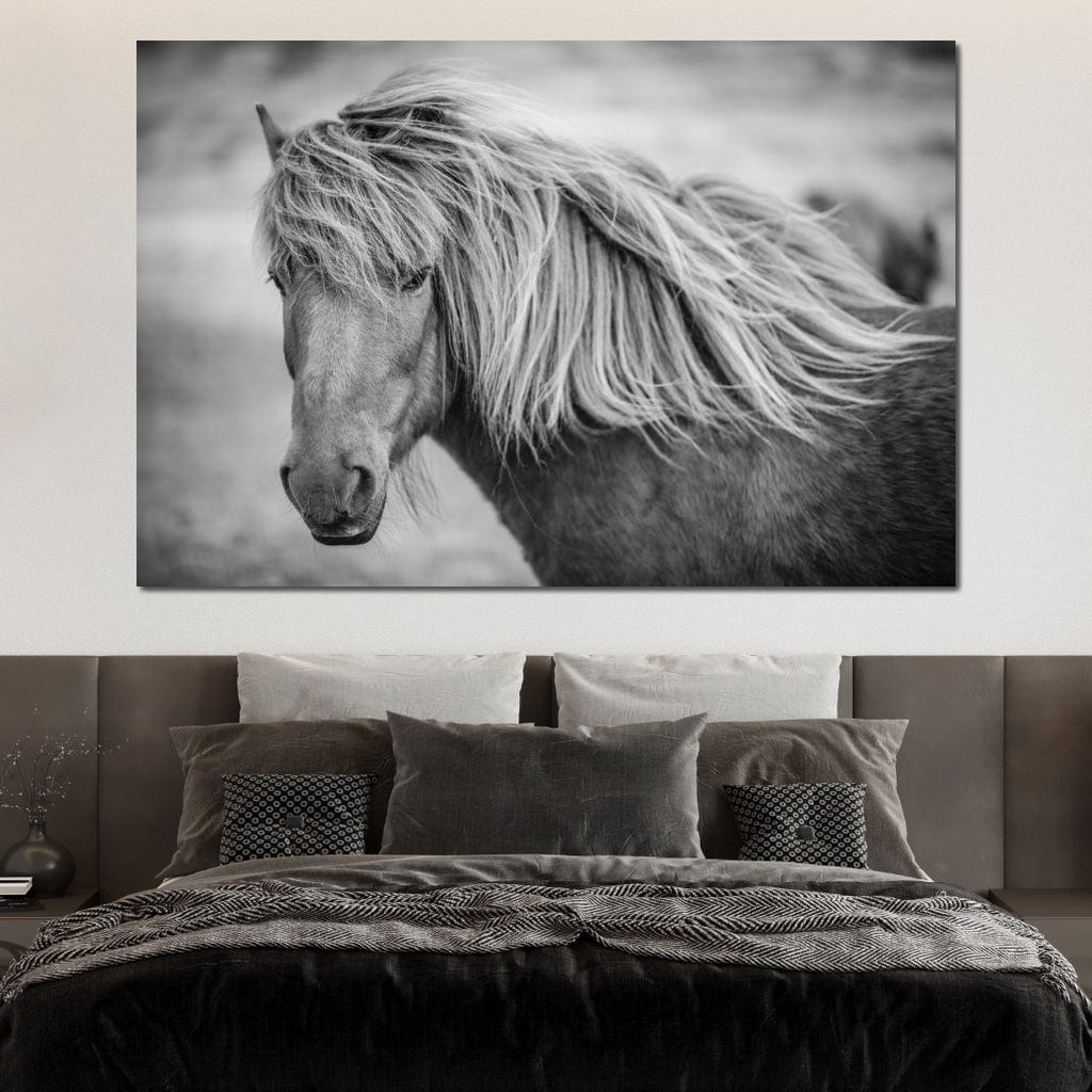 Icelandic Horse in Black & White Canvas Wall Art