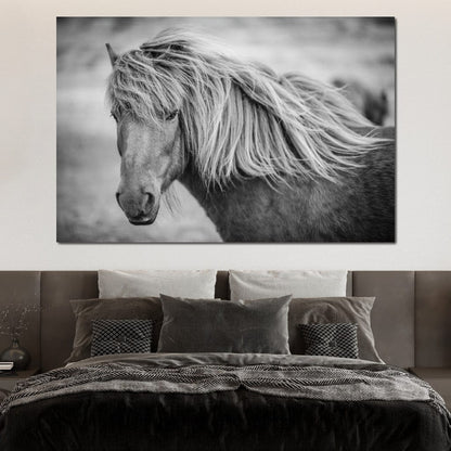 Icelandic Horse in Black & White Canvas Wall Art