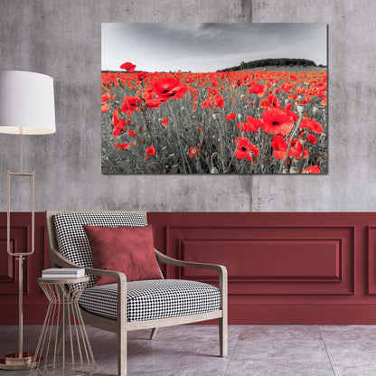Flanders Fields Canvas Wall Art