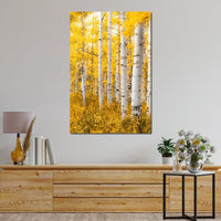 Yellow Forest - Colorado Canvas Wall Art