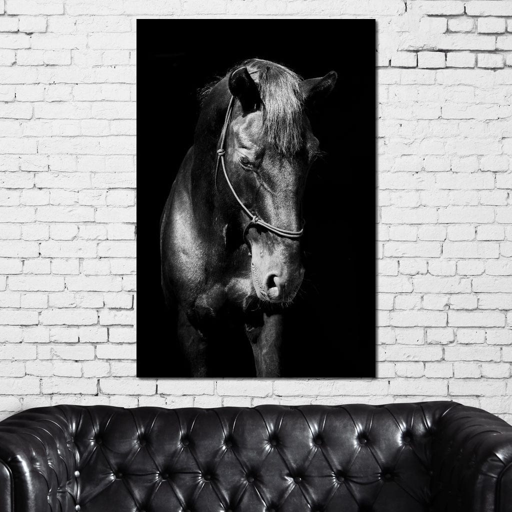 Black & White Horse Head Canvas Wall Art
