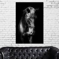 Black & White Horse Head Canvas Wall Art