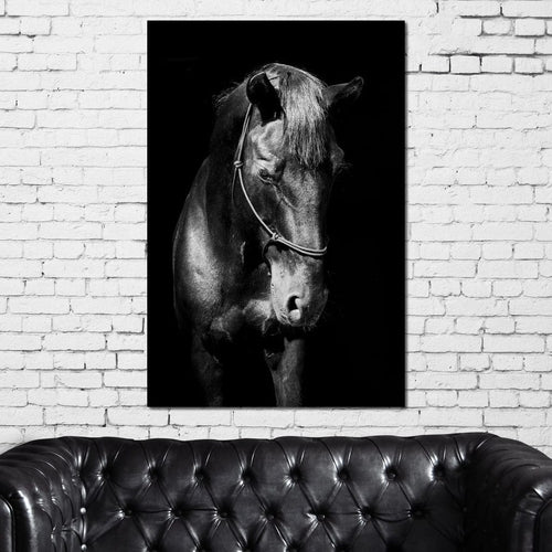 Black & White Horse Head Canvas Wall Art