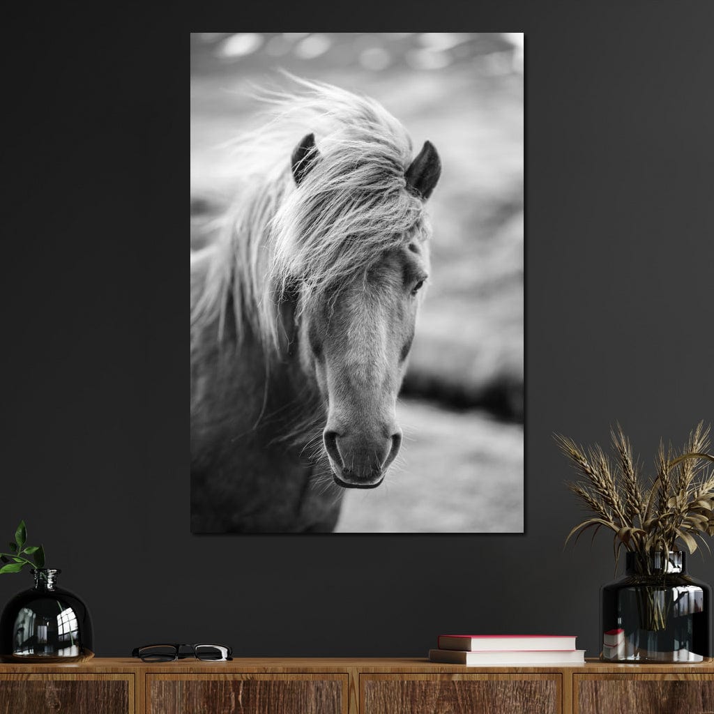Icelandic Horse Canvas Wall Art
