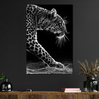 Black and white Leopard Canvas Wall Art