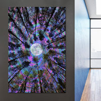 Moon Swirl Canvas Wall Art