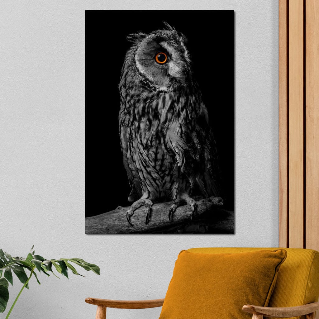 Black & White Owl Canvas Wall Art