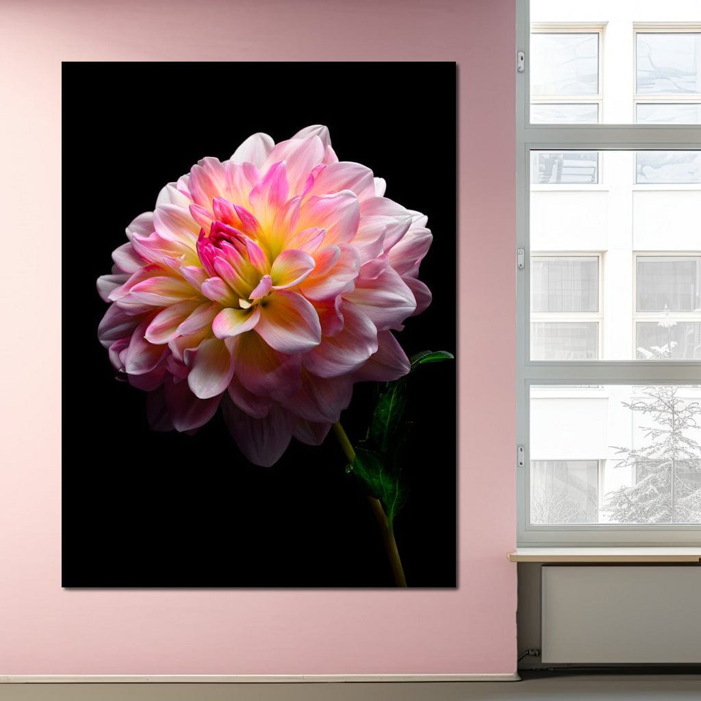 Radiant Dahlia Petals Macro Glow Canvas Wall Art