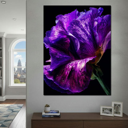 Violet Petal Radiance Macro Canvas Wall Art