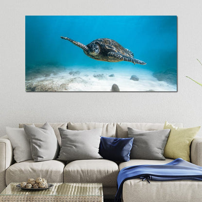 Blue Turtle Canvas Wall Art