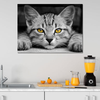 Black & White Cat with Yellow Eyes Canvas Wall Art