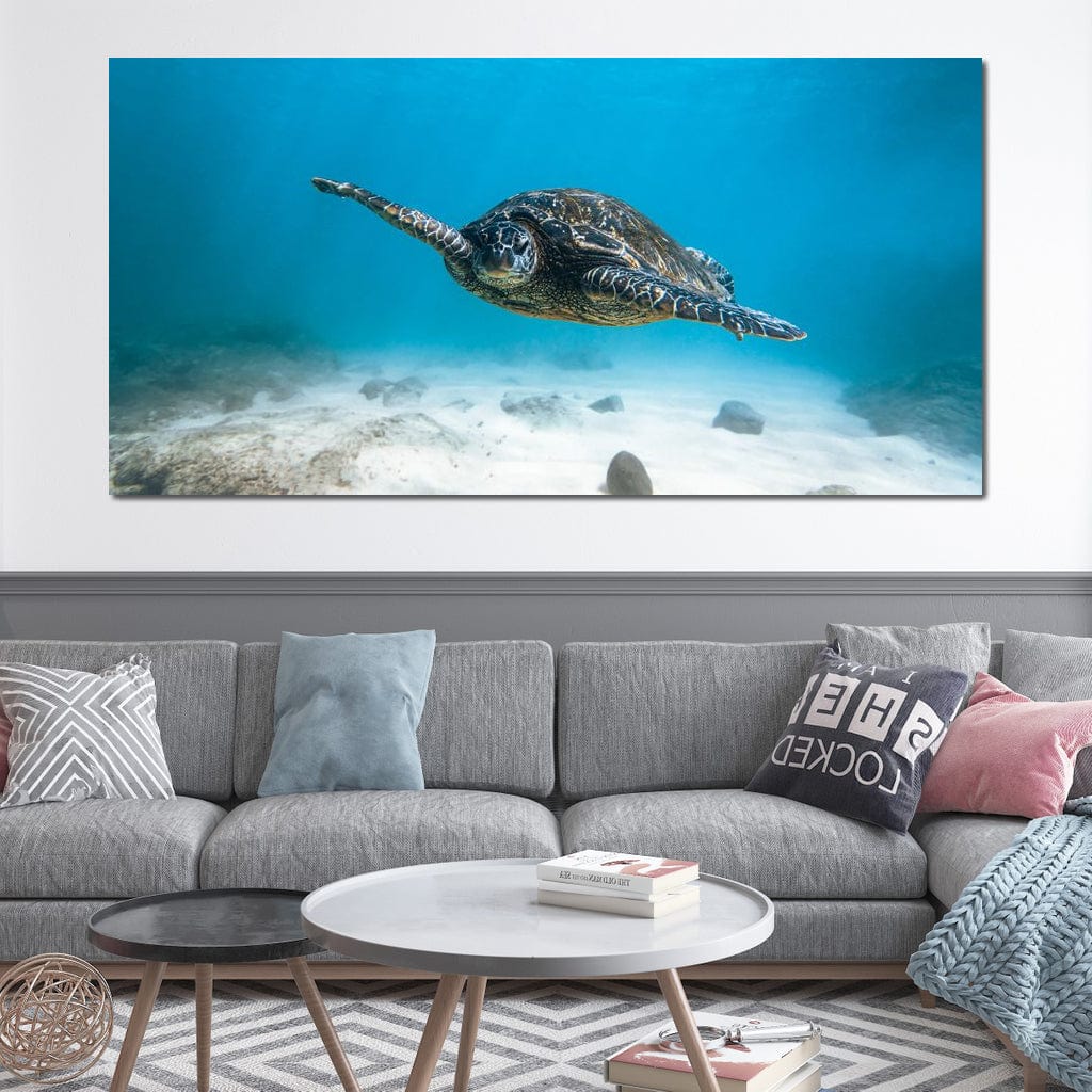 Blue Turtle Canvas Wall Art