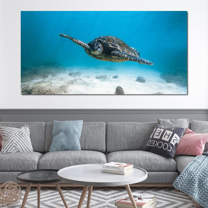 Blue Turtle Canvas Wall Art