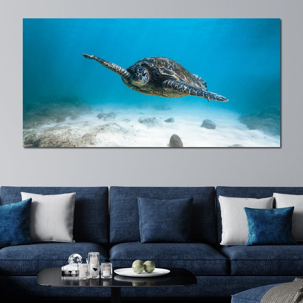 Blue Turtle Canvas Wall Art