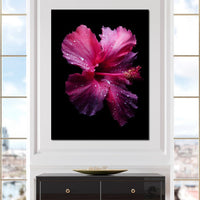 Rainkissed Pink Hibiscus Petals Canvas Wall Art