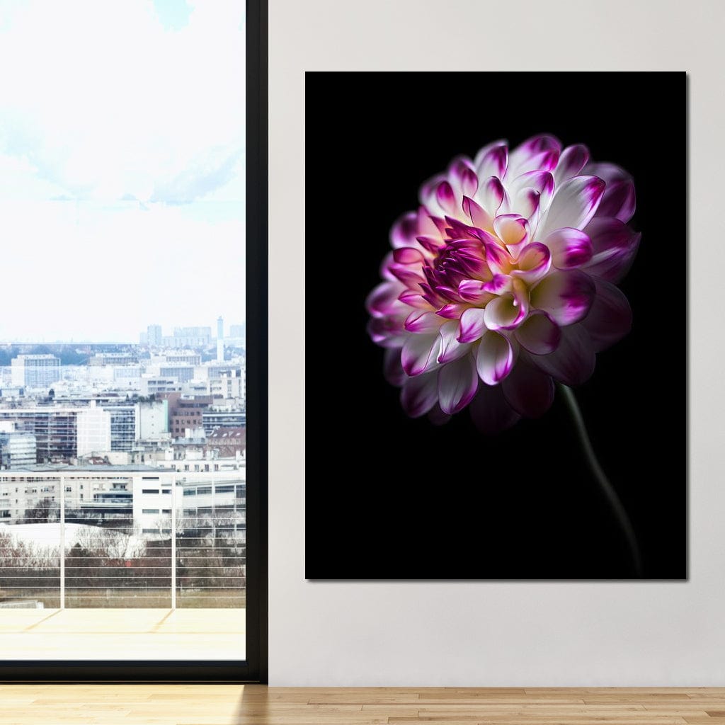 Radiant Orchid Dahlia Nocturne Canvas Wall Art