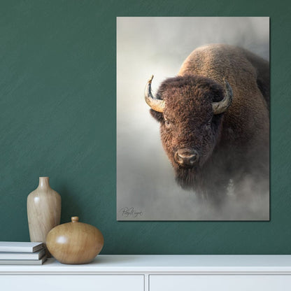 Bison 1 Canvas Wall Art