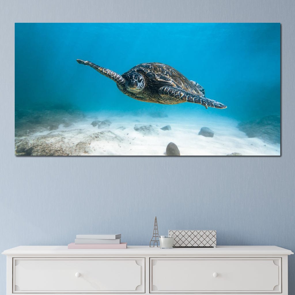 Blue Turtle Canvas Wall Art