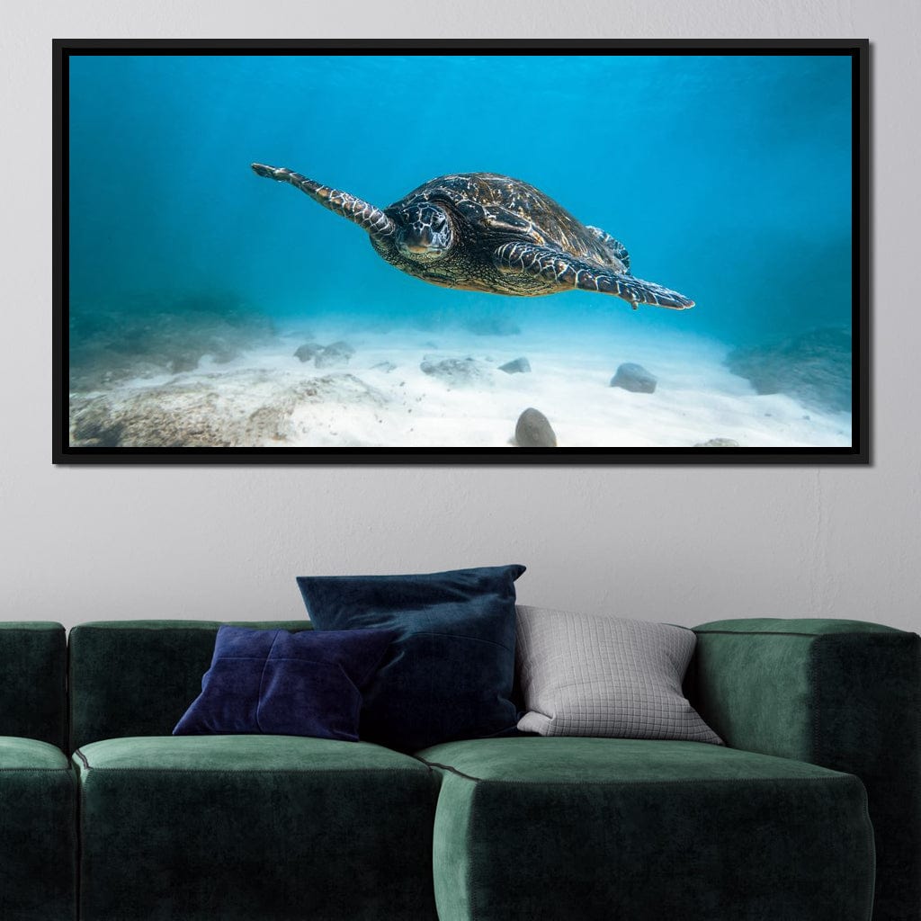 Blue Turtle Canvas Wall Art