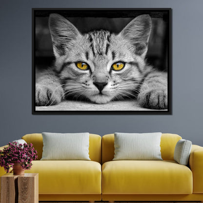 Black & White Cat with Yellow Eyes Canvas Wall Art