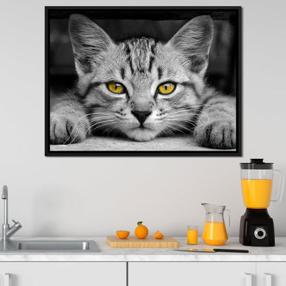 Black & White Cat with Yellow Eyes Canvas Wall Art