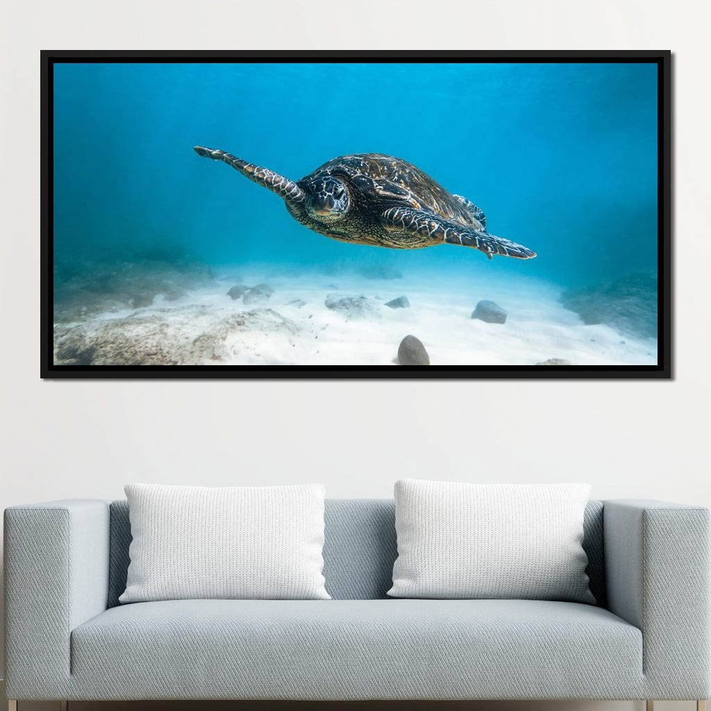 Blue Turtle Canvas Wall Art