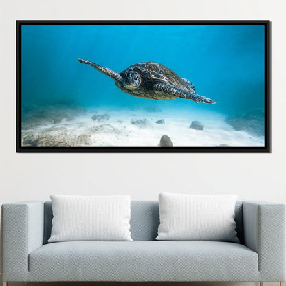 Blue Turtle Canvas Wall Art