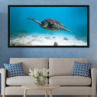 Blue Turtle Canvas Wall Art
