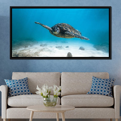 Blue Turtle Canvas Wall Art