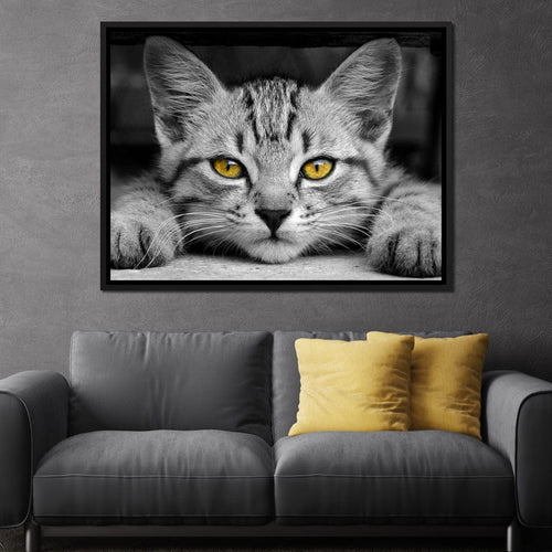 Black & White Cat with Yellow Eyes Canvas Wall Art