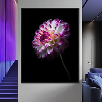 Radiant Orchid Dahlia Nocturne Canvas Wall Art